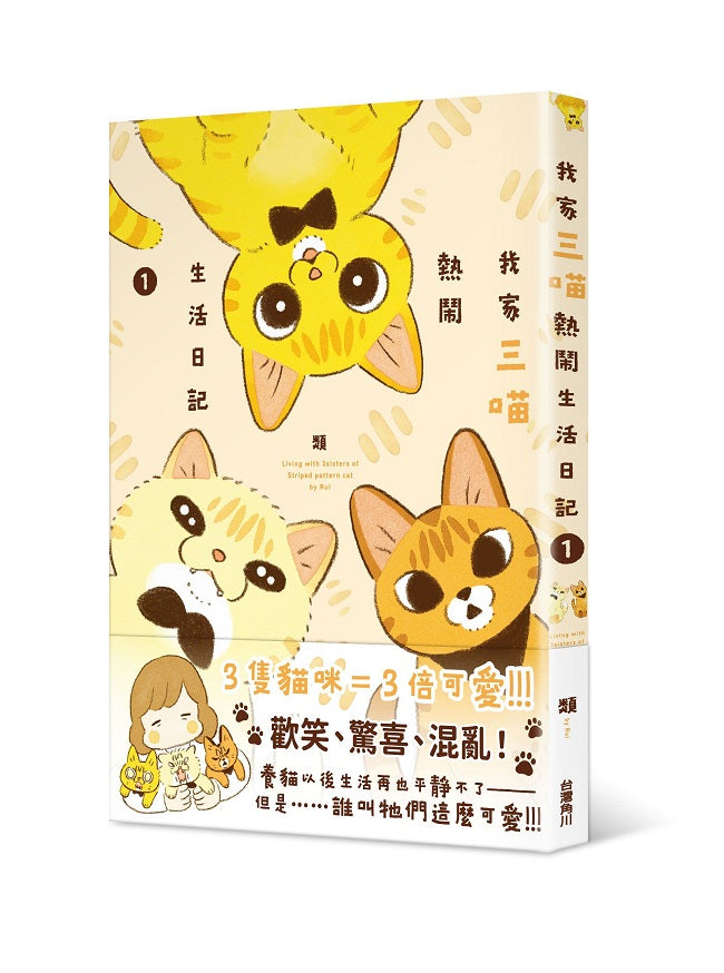 我家三喵熱鬧生活日記1