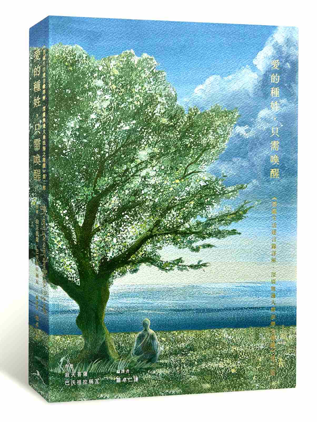 愛的種姓,只需喚醒:《菩薩生活建言錄詳解.深廣無邊大乘法海之精髓》第二部
