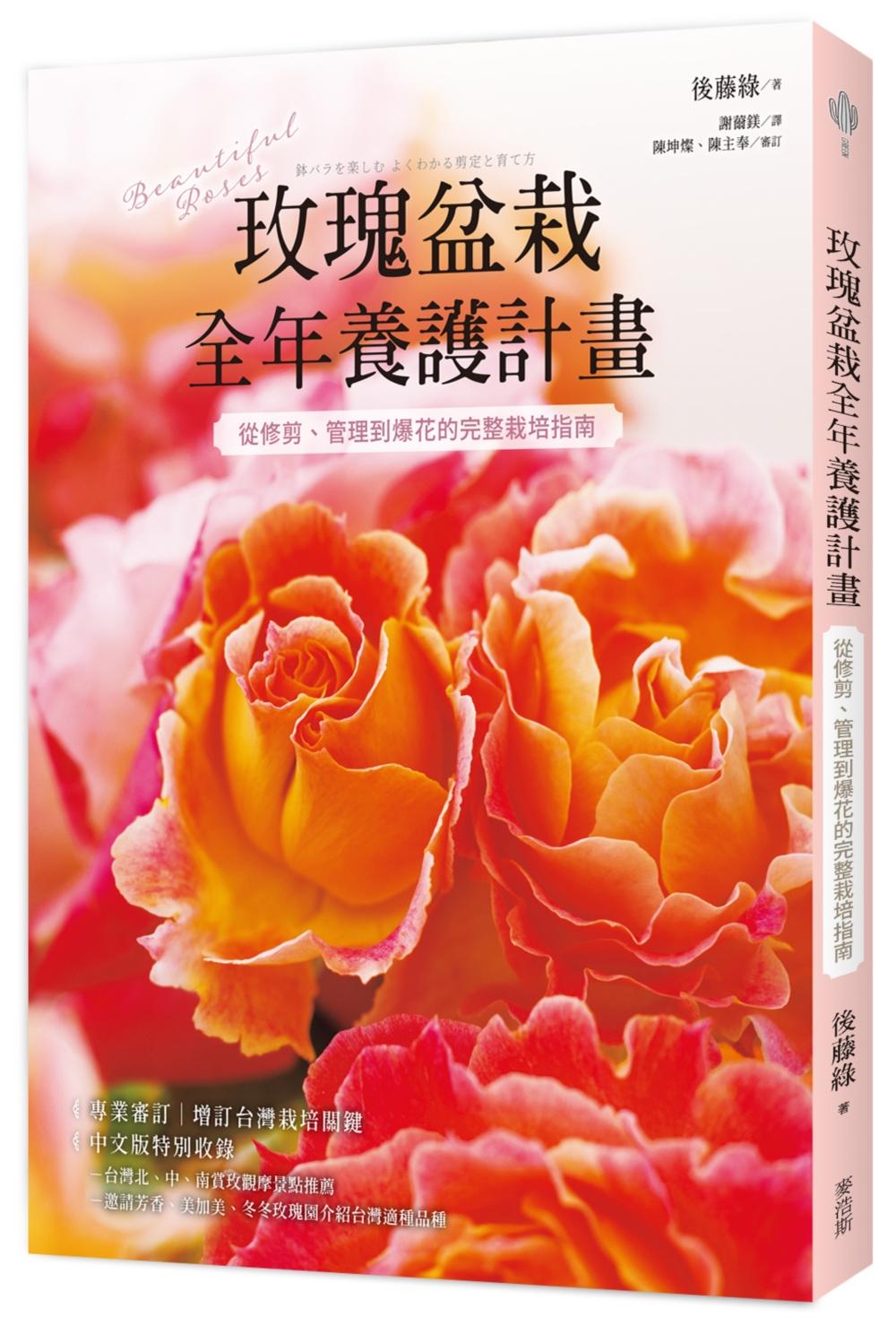 玫瑰盆栽全年養護計畫:從修剪、管理到爆花的完整栽培指南