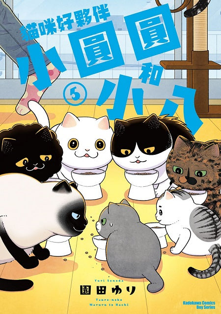 貓咪好夥伴小圓圓和小八(5)