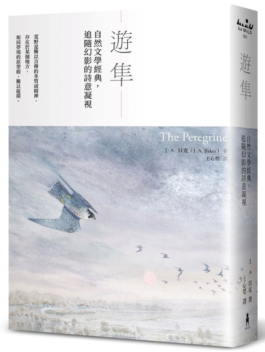 遊隼:自然文學經典,追隨幻影的詩意凝視