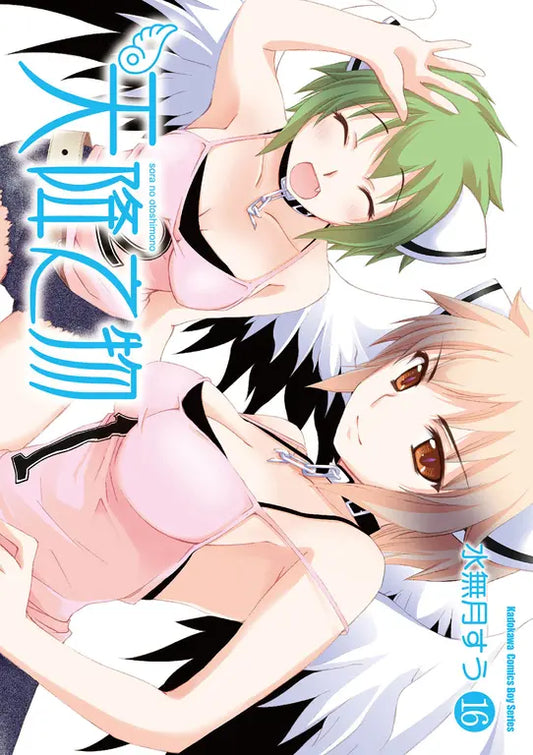 天降之物(16)2026年版