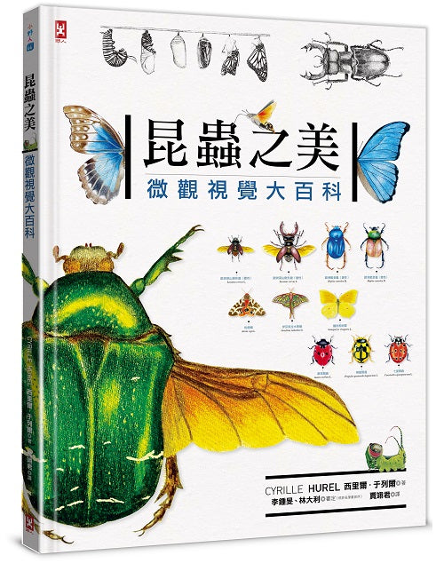 昆蟲之美:微觀視覺大百科