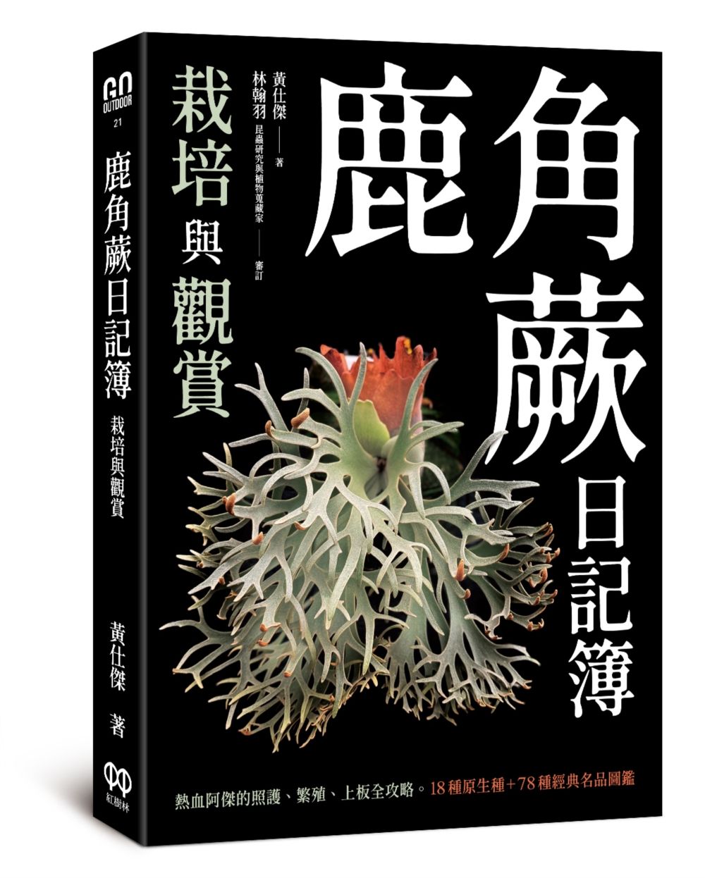 鹿角蕨日記簿:栽培與觀賞