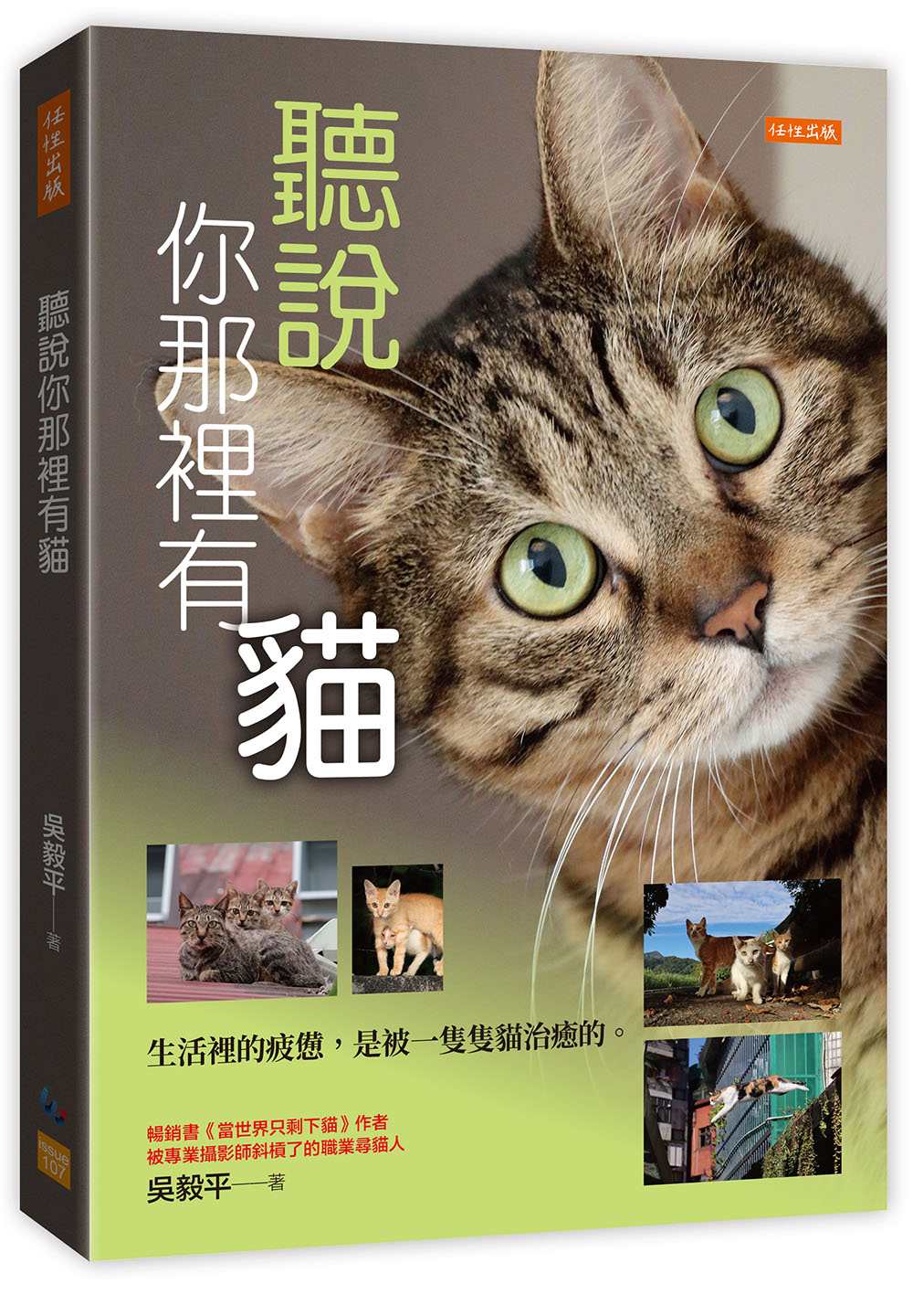 聽說你那裡有貓:生活裡的疲憊,是被一隻隻貓治癒的。