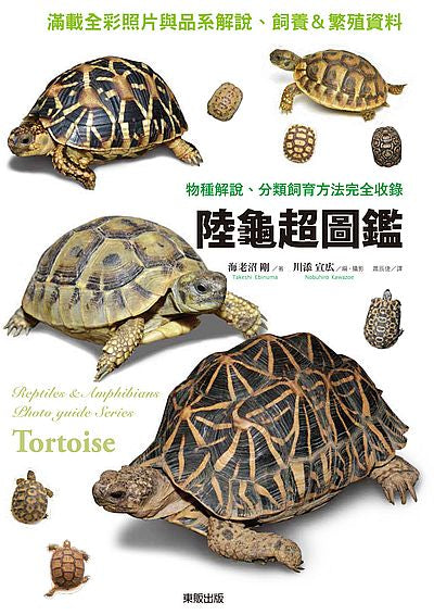 陸龜超圖鑑:物種解說、分類飼養方法完全收錄