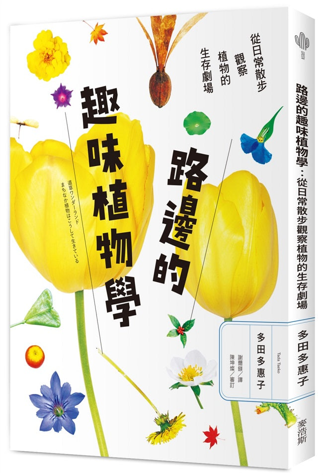 路邊的趣味植物學:從日常散步觀察植物的生存劇場