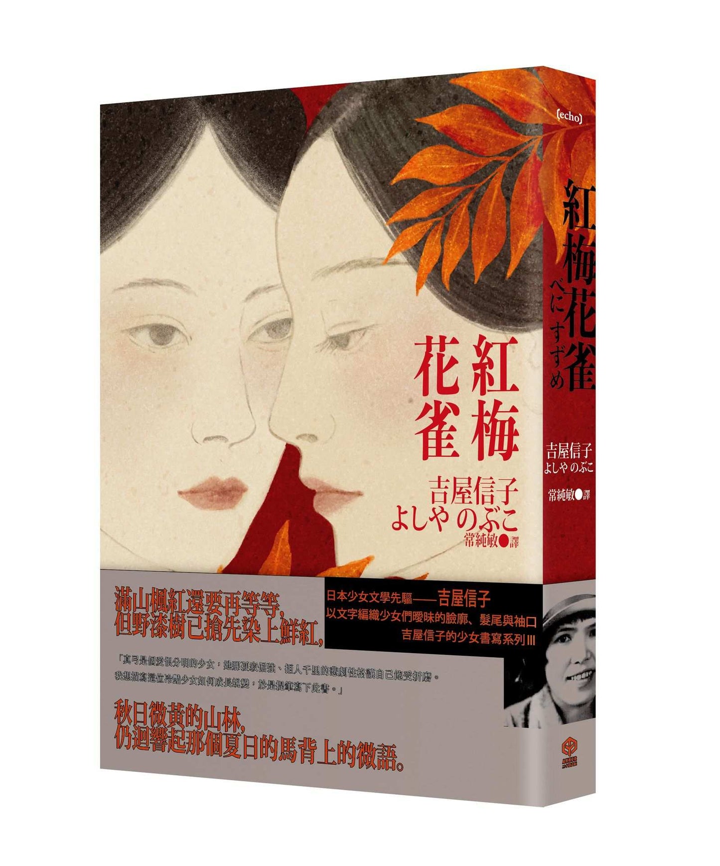 紅梅花雀(吉屋信子的少女書寫系列Ⅲ)