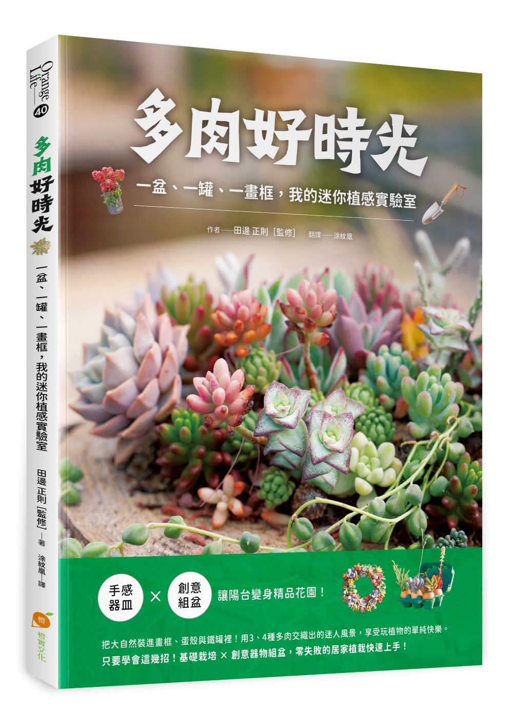 多肉好時光:一盆、一罐、一畫框,我的迷你植感實驗室