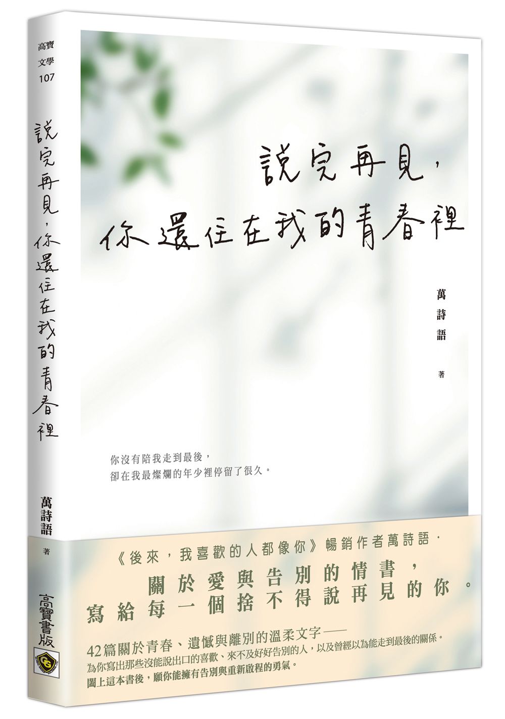 說完再見,你還住在我的青春裡