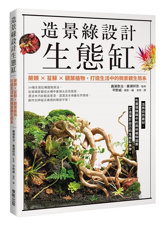造景綠設計生態缸:蕨類×苔蘚×觀葉植物,打造生活中的微景觀生態系