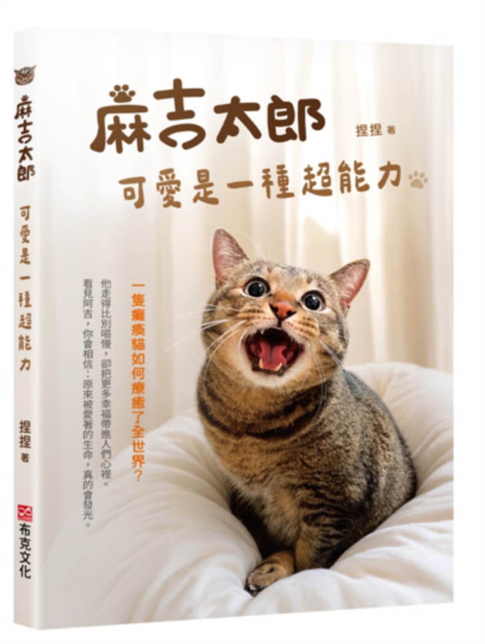 麻吉太郎:可愛是一種超能力 一隻癱瘓貓如何療癒了全世界?