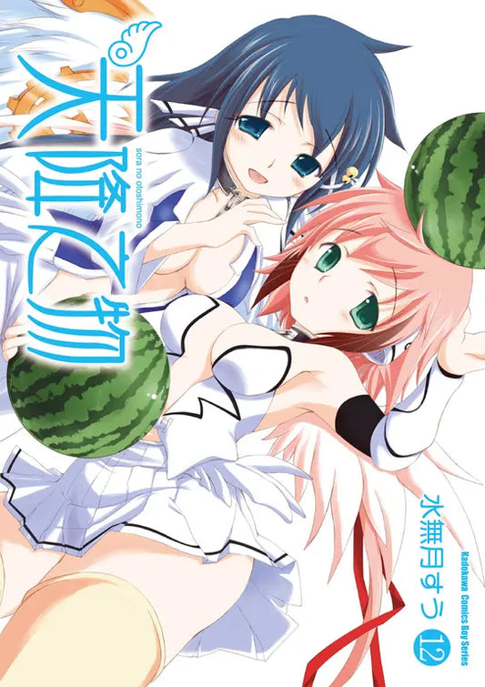 天降之物(12)2026年版