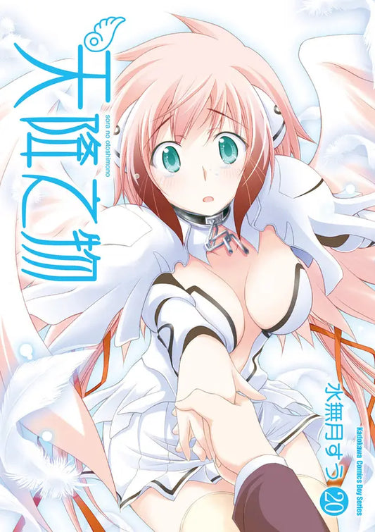 天降之物(20)完2026年版