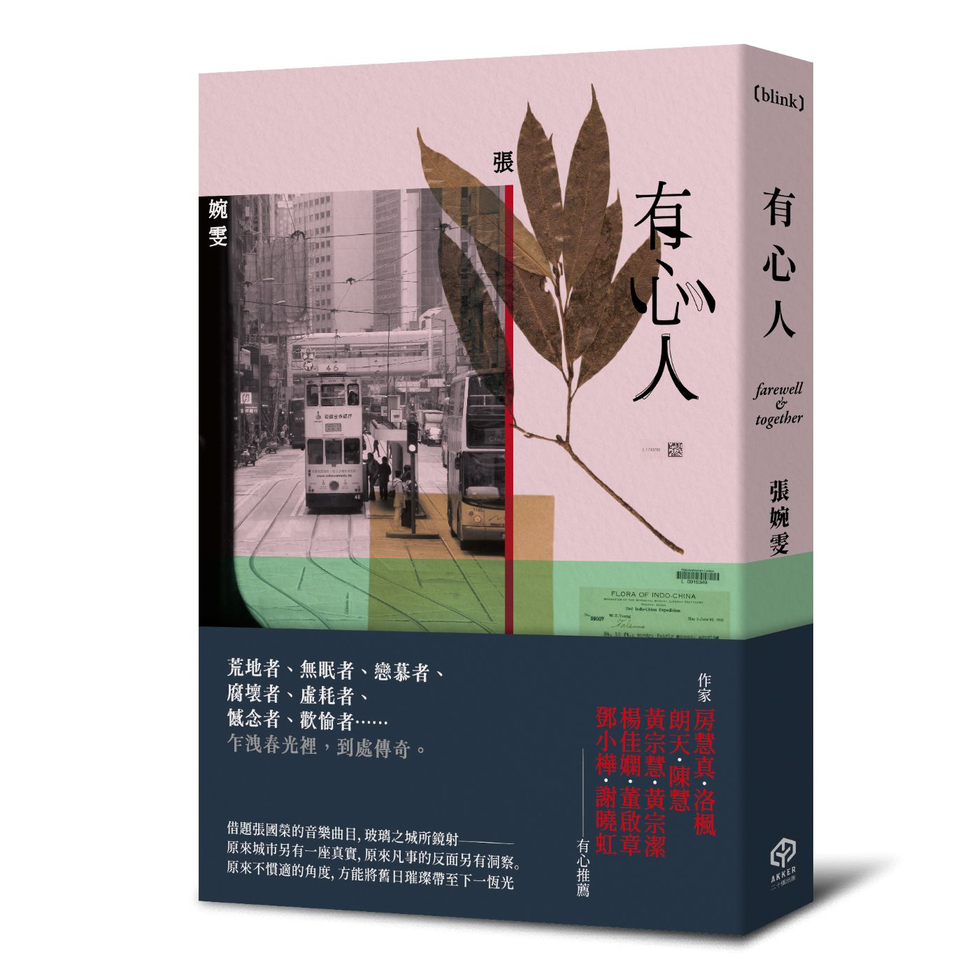 有心人(香港七0後重要小說家,借題張國榮音樂曲目的短篇小說集)