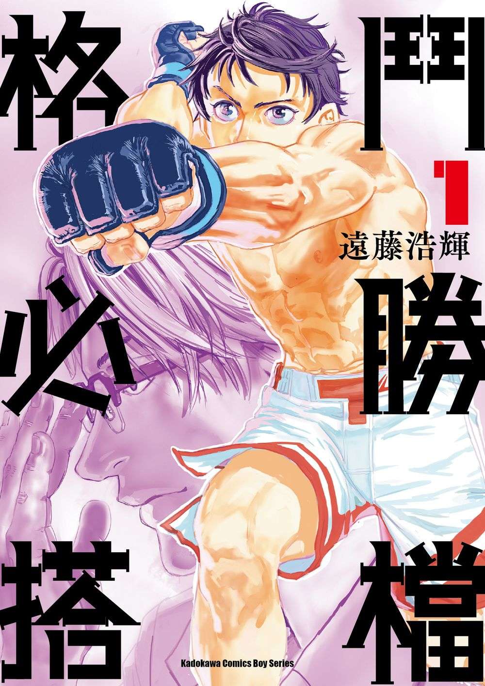 格鬥必勝搭檔(1)