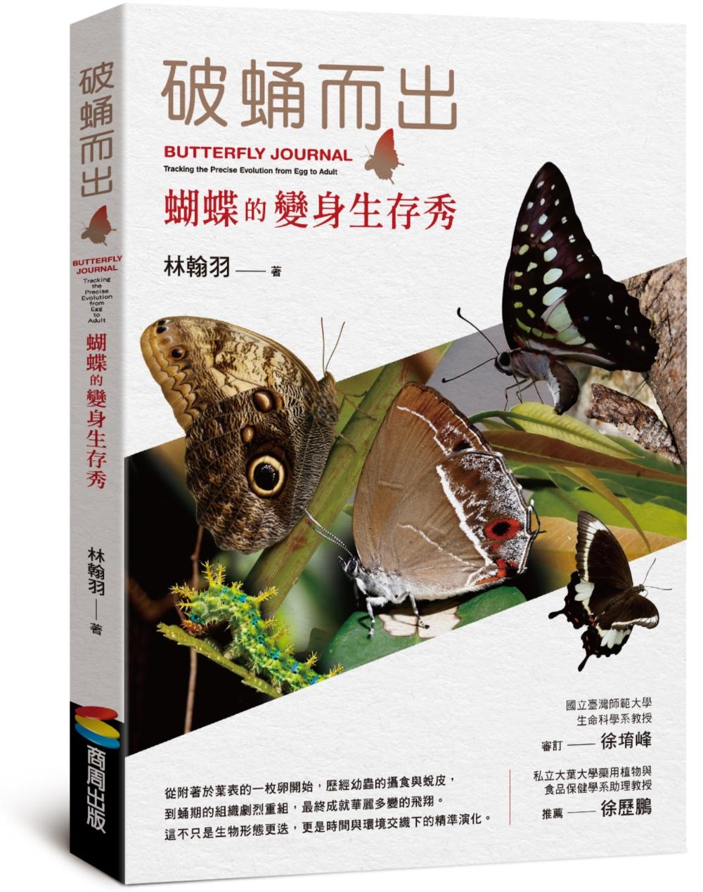 破蛹而出:蝴蝶的變身生存秀