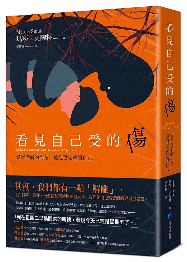 看見自己受的傷:覺察深層的內在,擁抱更完整的自己