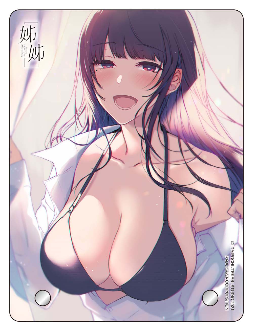 【特裝版-買斷】姊姊(6)加購透明桌繪B