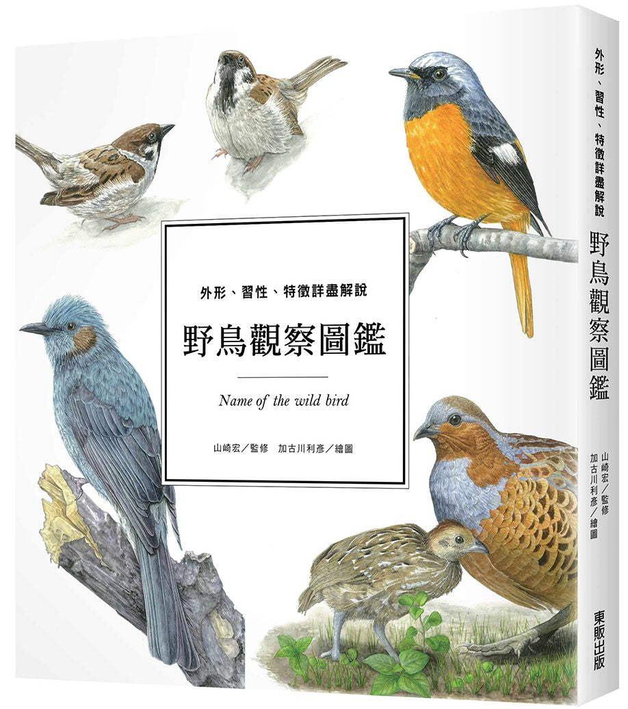 野鳥觀察圖鑑:外形、習性、特徵詳盡解說