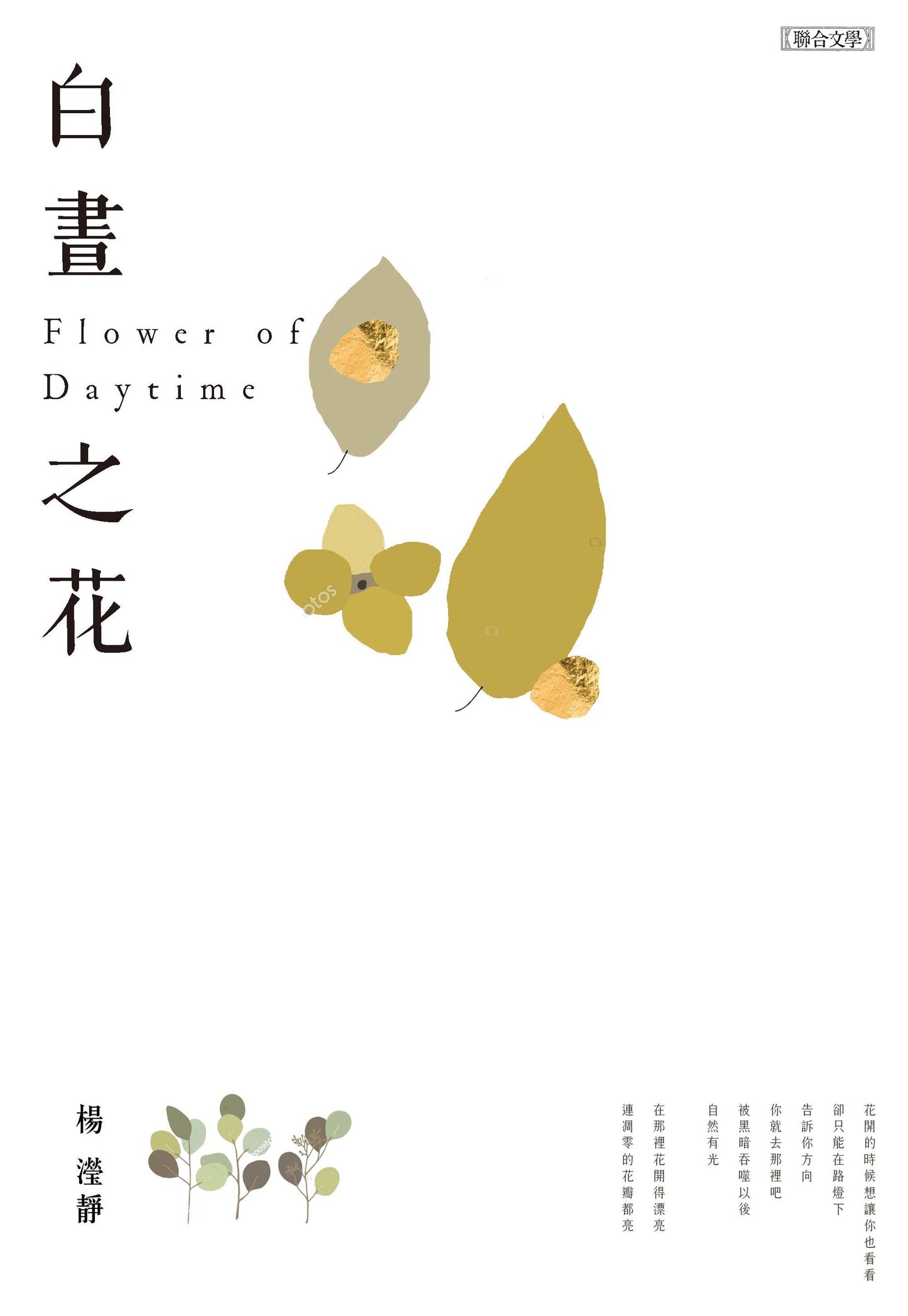 白晝之花