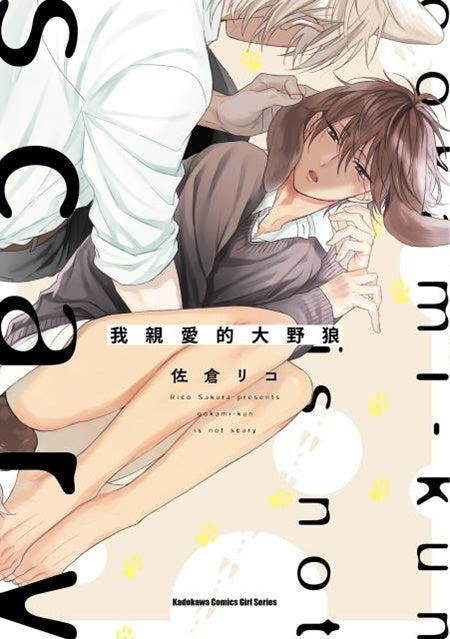 我親愛的大野狼(全)