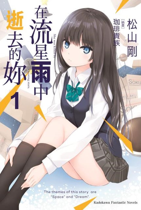 在流星雨中逝去的妳(1)