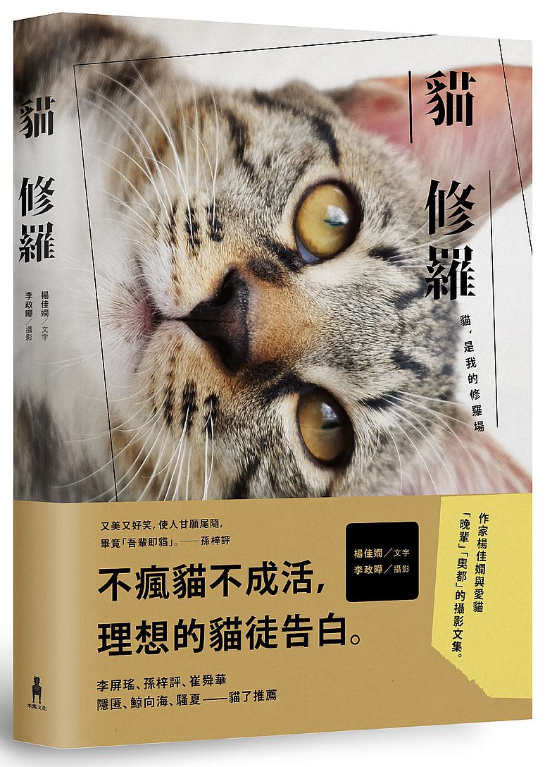 貓修羅