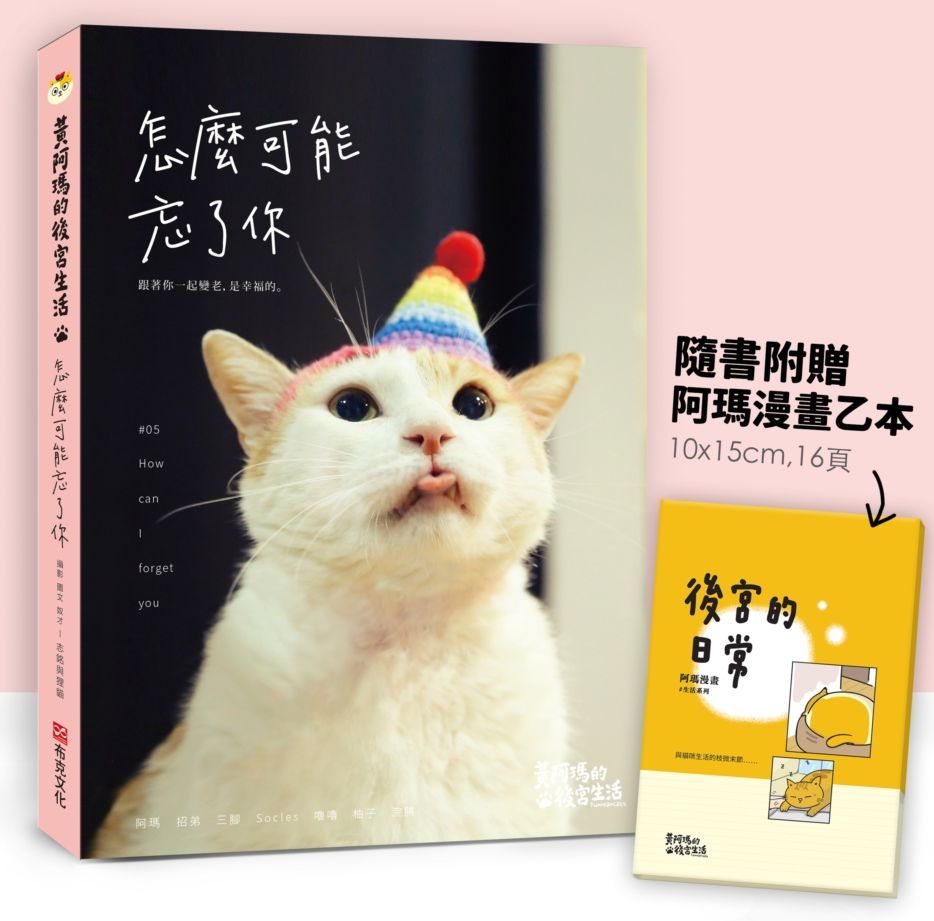 黃阿瑪的後宮生活:怎麼可能忘了你