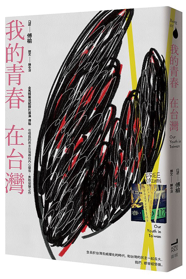 我的青春,在台灣