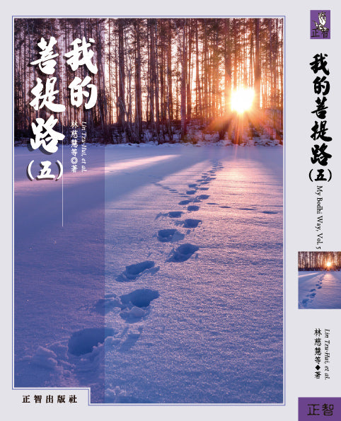 我的菩提路 第五輯