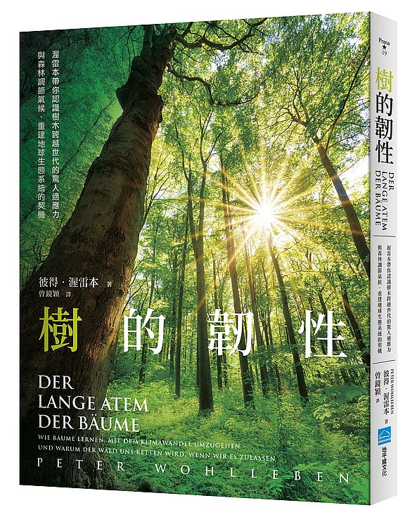 樹的韌性:渥雷本帶你認識樹木跨越世代的驚人適應力,與森林調節氣候,重建地球生態系統的契機