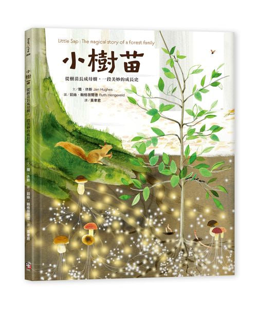 小樹苗:從樹苗長成母樹,一段美妙的成長史