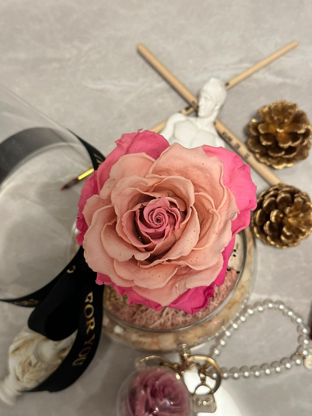 Rose Amor 玫瑰花 ＋  Fliur.Art 禮盒特別裝   獨一無二 高級送禮擺設  -  香港本土花藝師 Coobe 手作系列