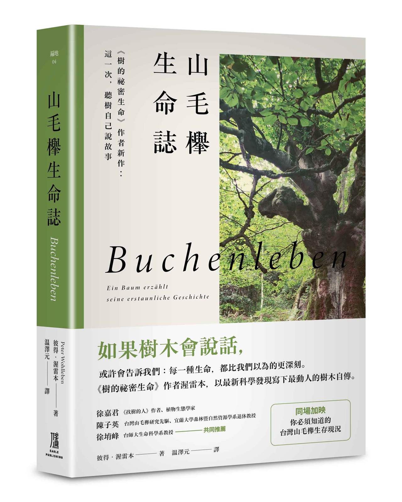 山毛櫸生命誌：《樹的祕密生命》作者新作：這一次，聽樹自己說故事