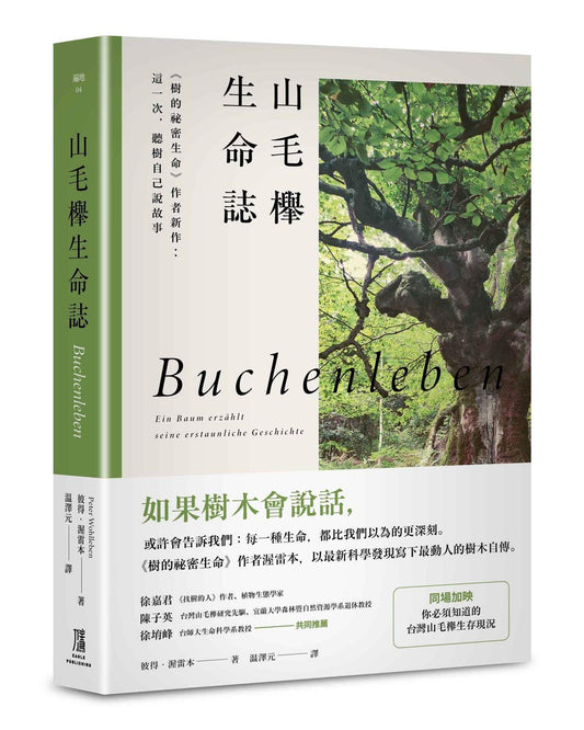 山毛櫸生命誌：《樹的祕密生命》作者新作：這一次，聽樹自己說故事