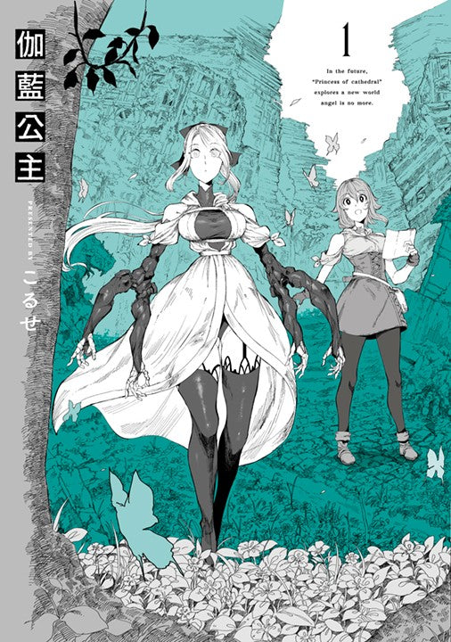 伽藍公主（１）