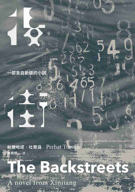 後街：一部來自新疆的小說