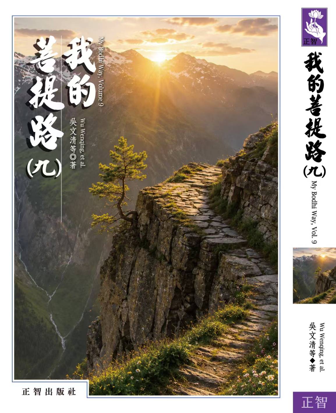 我的菩提路 第九輯