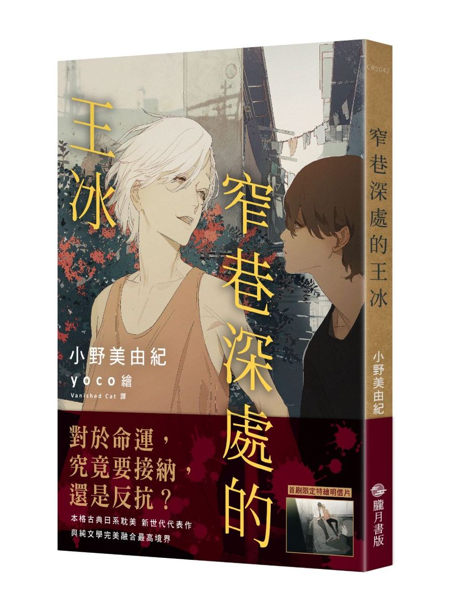 窄巷深處的王冰【首刷附錄版】