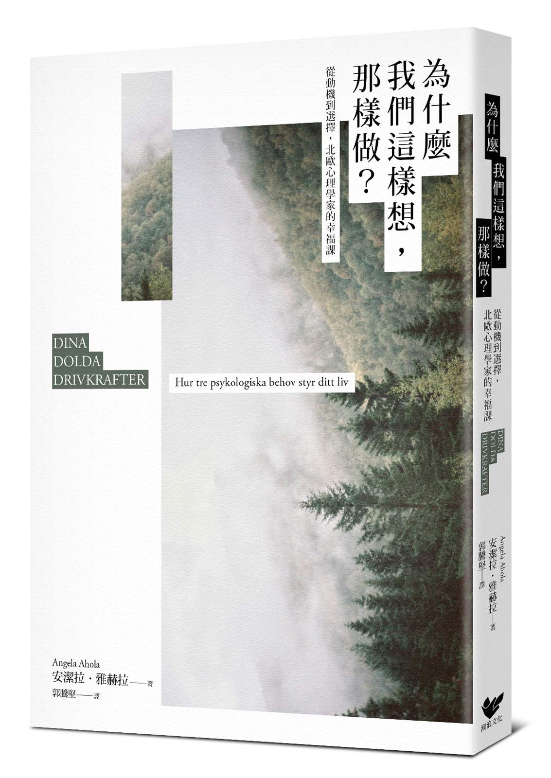 為什麼我們這樣想，那樣做？：從動機到選擇，北歐心理學家的幸福課！