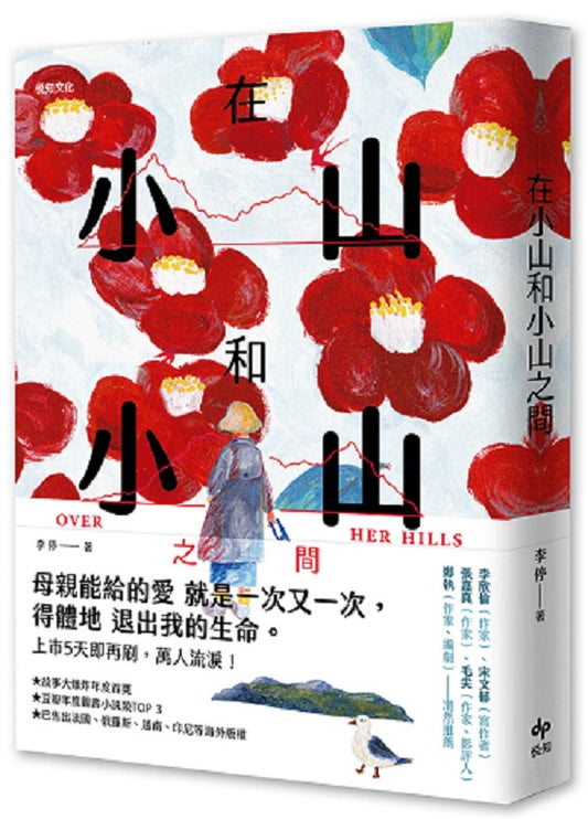 在小山和小山之間：故事大爆炸年度首獎之作