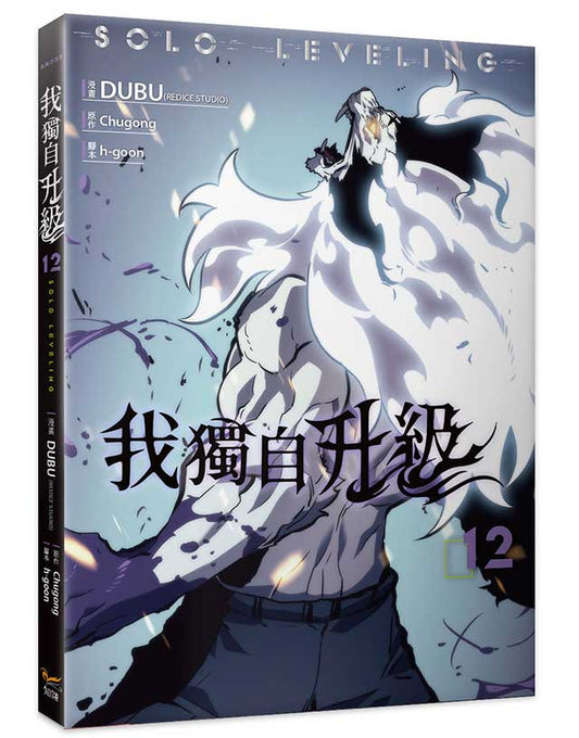 我獨自升級12漫畫