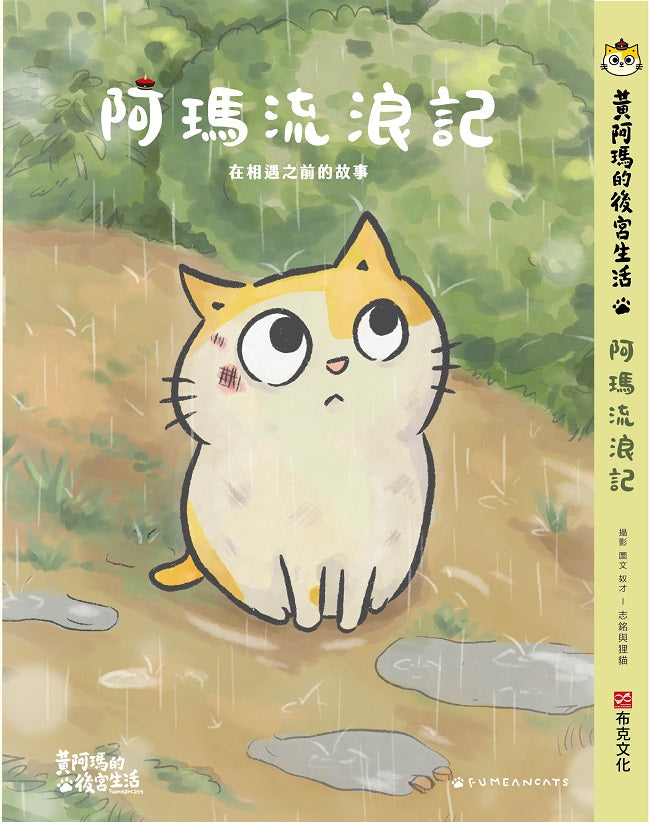 黃阿瑪的後宮生活 阿瑪流浪記：在相遇之前的故事
