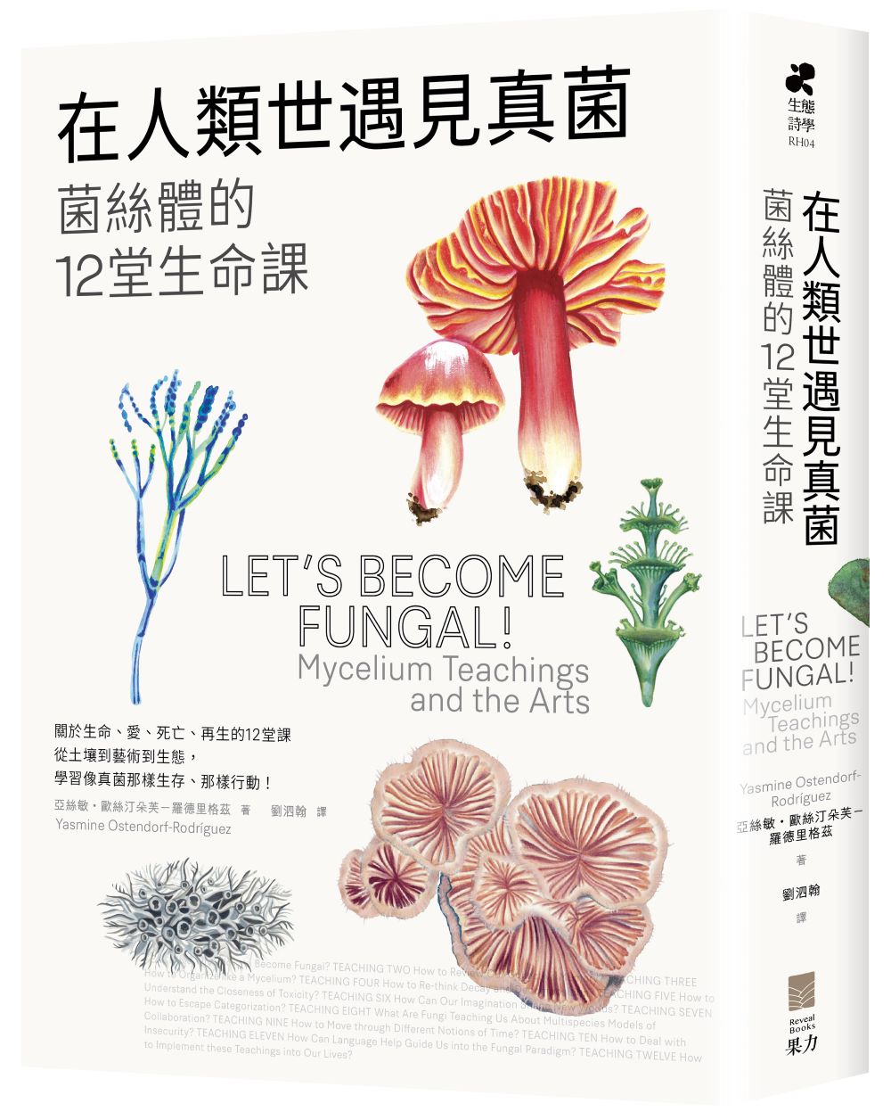 在人類世遇見真菌：菌絲體的12堂生命課