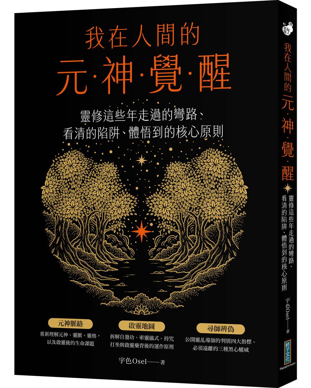 我在人間的元神覺醒：這些年走過的彎路、看清的陷阱、體悟到的核心原則