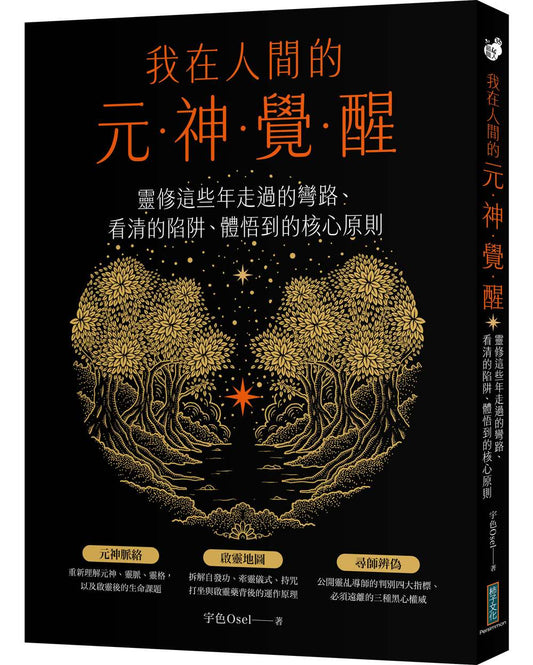 我在人間的元神覺醒：這些年走過的彎路、看清的陷阱、體悟到的核心原則