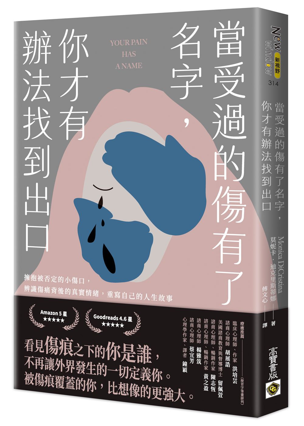 當受過的傷有了名字，你才有辦法找到出口：擁抱被否定的小傷口，辨識傷痛背後的真實情緒，重寫自己的人生故事