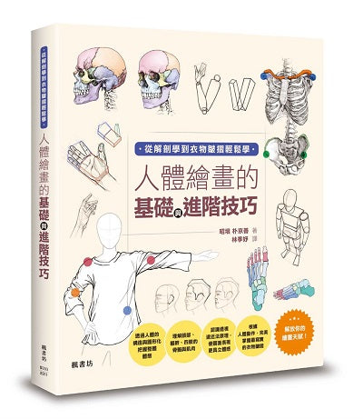 人體繪畫的基礎與進階技巧