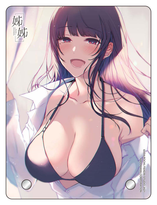 【特裝版－買斷】姊姊（６）加購透明桌繪B